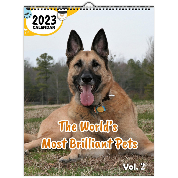 The World's Most Brilliant Pets Volume Two: 2023 Wall Calendar