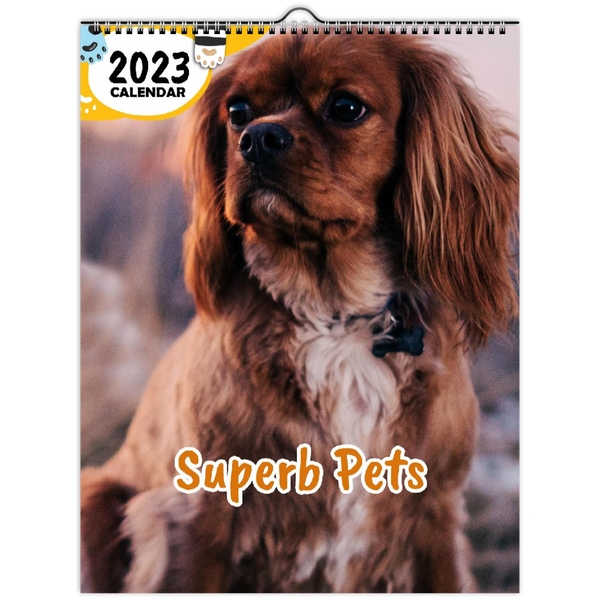 Superb Pets: 2023 Wall Calendar