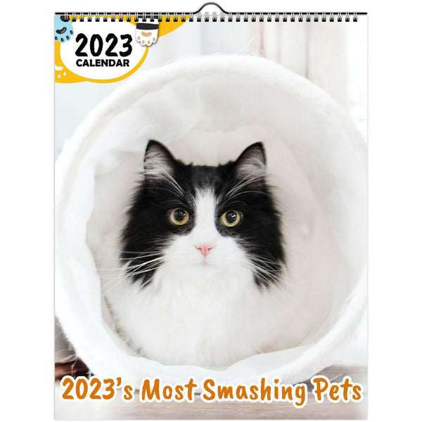 2023's Most Smashing Pets: 2023 Wall Calendar