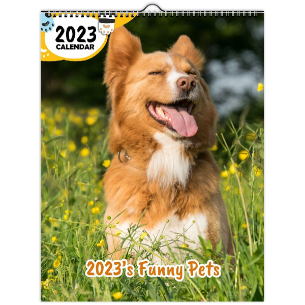 2023's Funny Pets: 2023 Wall Calendar