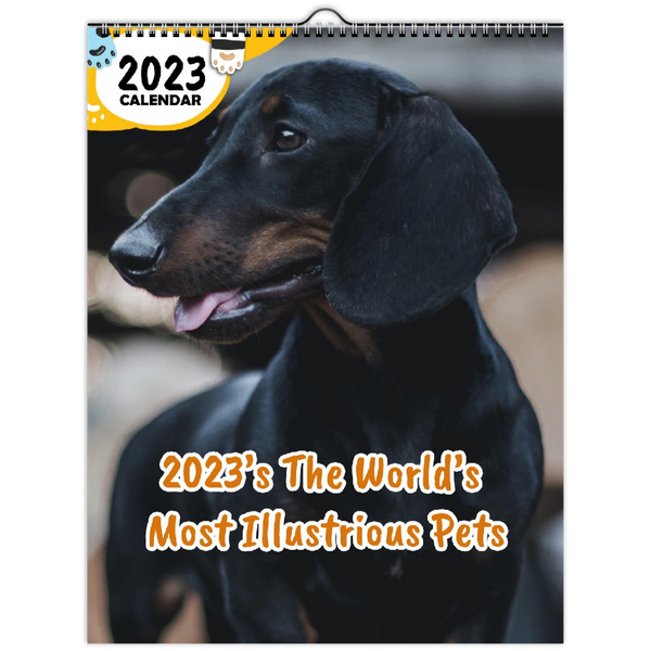 2023's The World's Most Illustrious Pets: 2023 Wall Calendar