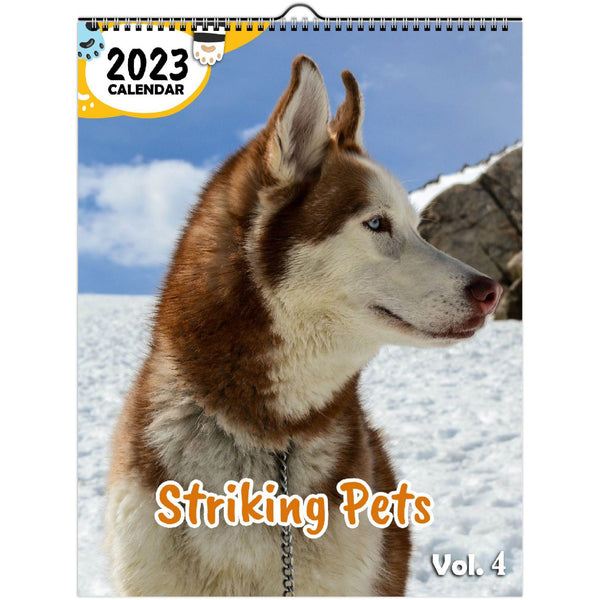 Striking Pets Volume Four: 2023 Wall Calendar