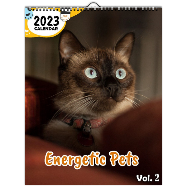 Energetic Pets Volume Two: 2023 Wall Calendar