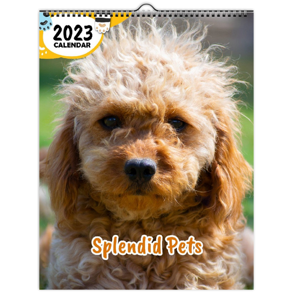 Splendid Pets: 2023 Wall Calendar