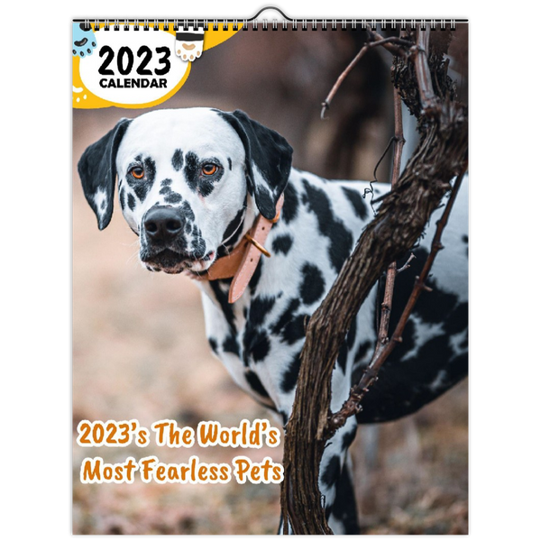 2023's The World's Most Fearless Pets: 2023 Wall Calendar