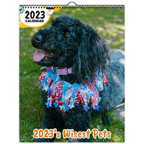 2023's Wisest Pets: 2023 Wall Calendar