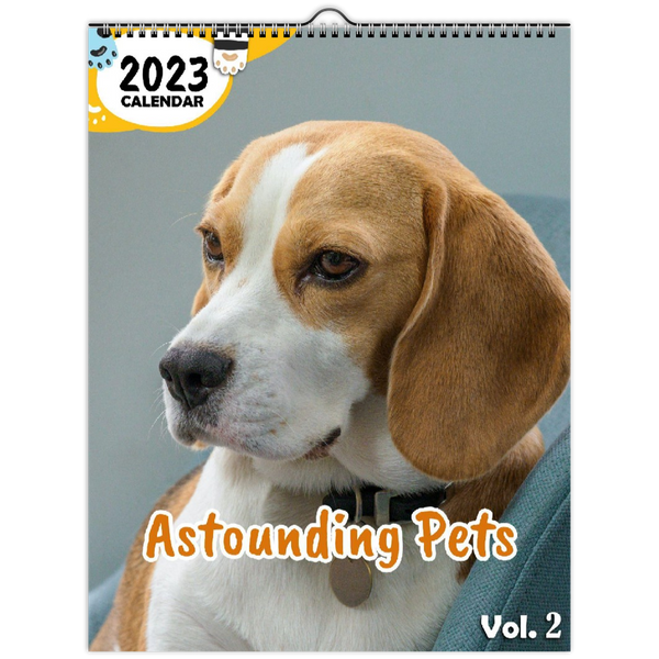 Astounding Pets Volume Two: 2023 Wall Calendar