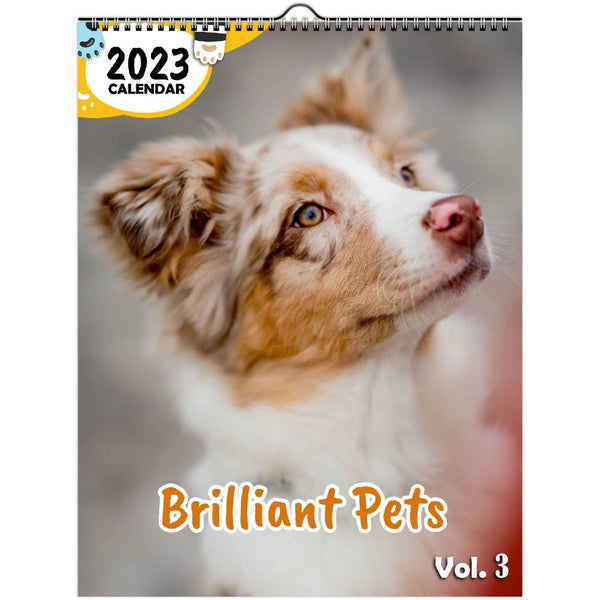 Brilliant Pets Volume Three: 2023 Wall Calendar