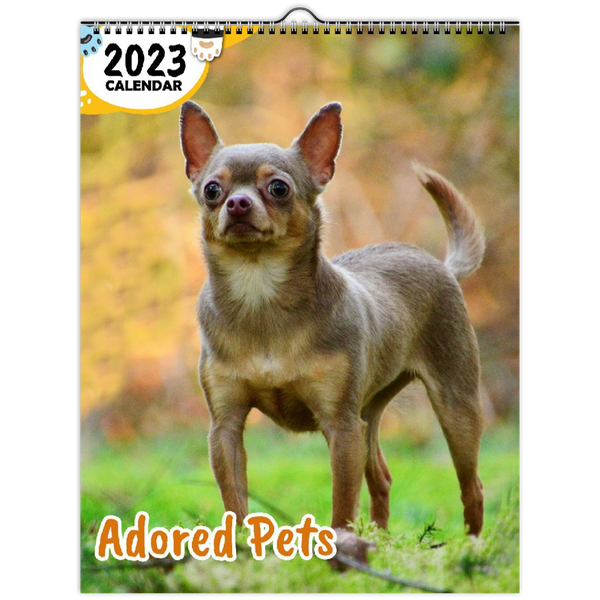 Adored Pets: 2023 Wall Calendar