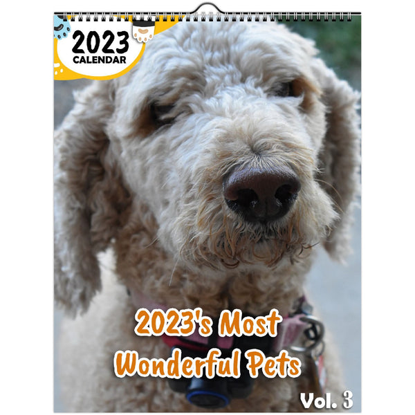 2023's Most Wonderful Pets Volume Three: 2023 Wall Calendar