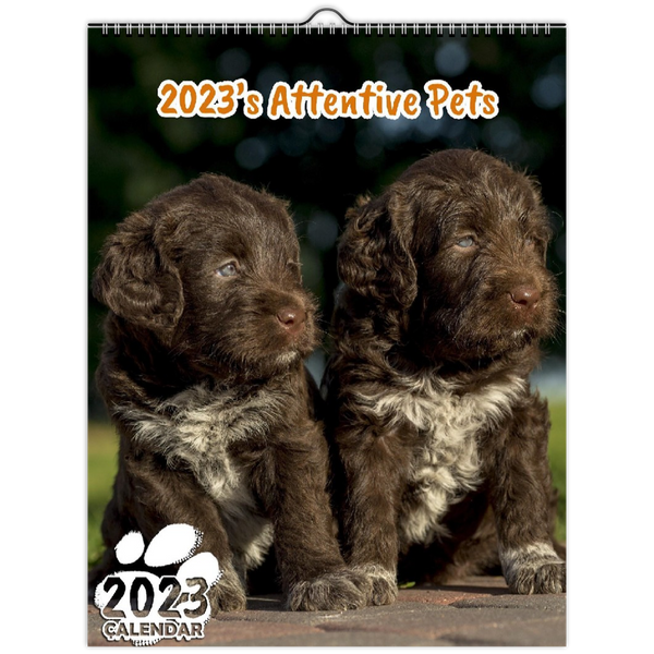 2023's Attentive Pets: 2023 Wall Calendar
