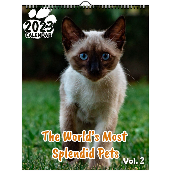 The World's Most Splendid Pets Volume Two: 2023 Wall Calendar