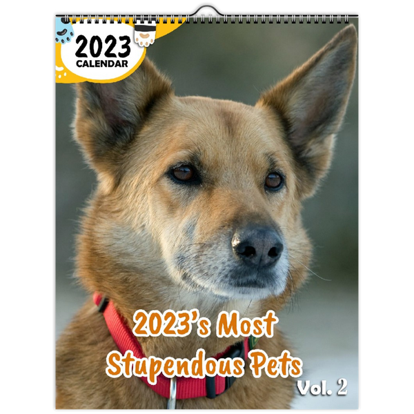 2023's Most Stupendous Pets Volume Two: 2023 Wall Calendar