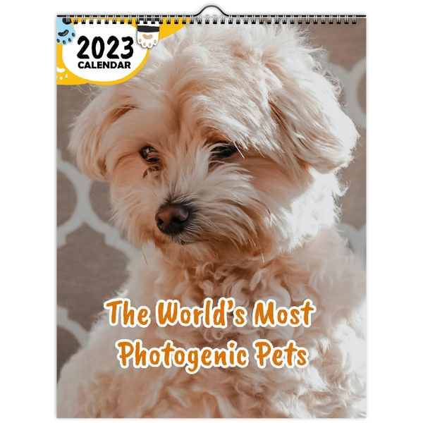The World's Most Photogenic Pets: 2023 Wall Calendar
