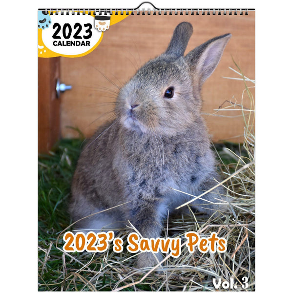 2023's Savvy Pets Volume Three: 2023 Wall Calendar