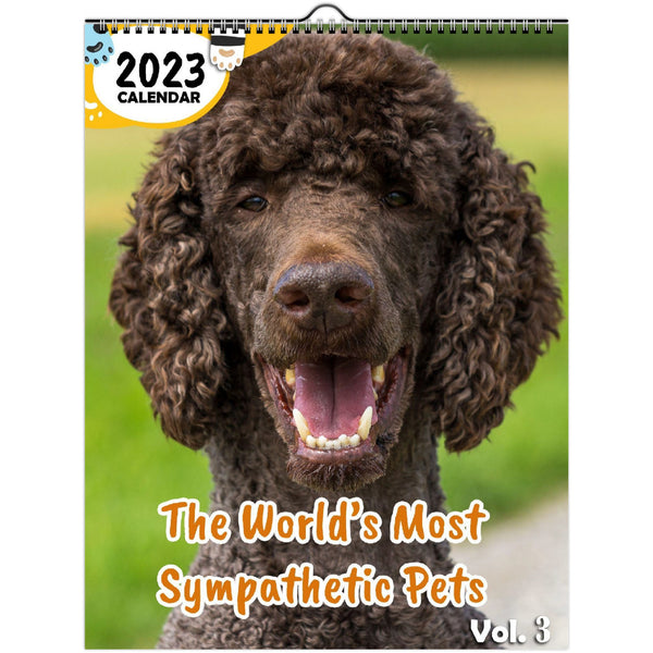 The World's Most Sympathetic Pets Volume Three: 2023 Wall Calendar