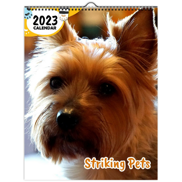 Striking Pets: 2023 Wall Calendar