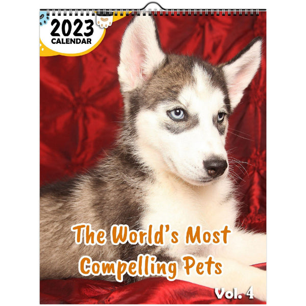 The World's Most Compelling Pets Volume Four: 2023 Wall Calendar