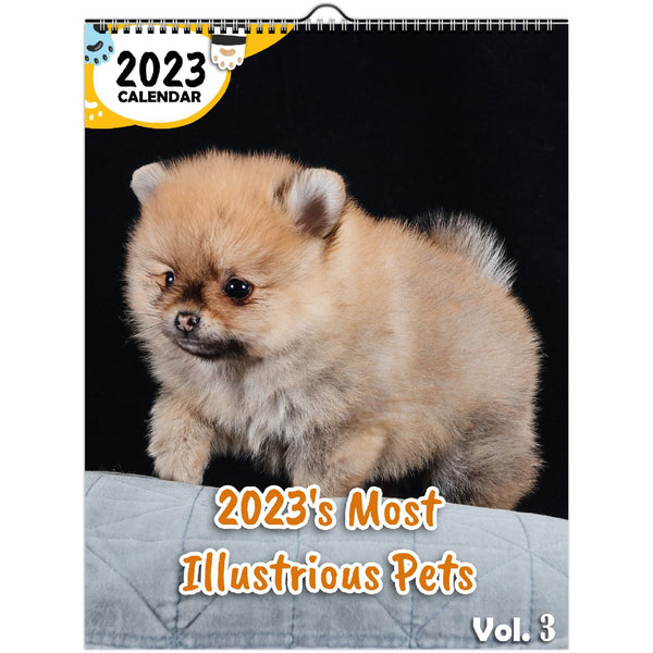 2023's Most Illustrious Pets Volume Three: 2023 Wall Calendar