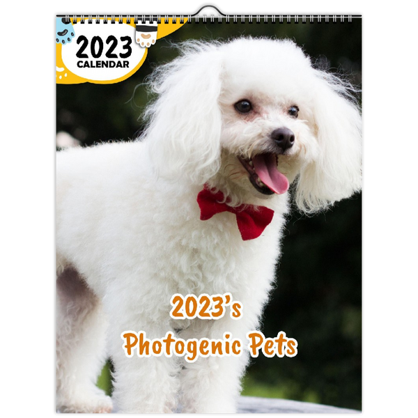 2023's Photogenic Pets: 2023 Wall Calendar