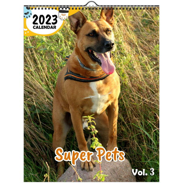 Super Pets Volume Three: 2023 Wall Calendar