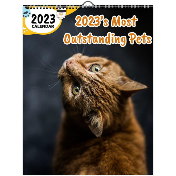 2023's Most Outstanding Pets: 2023 Wall Calendar