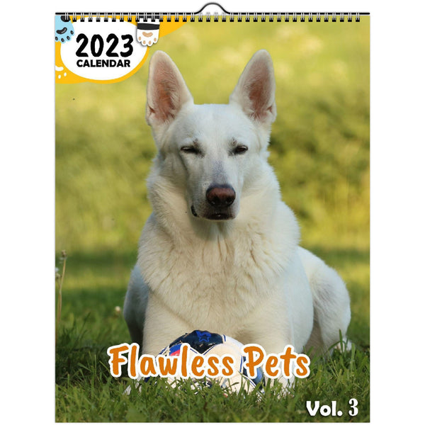 Flawless Pets Volume Three: 2023 Wall Calendar