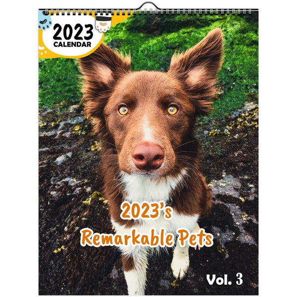 2023's Remarkable Pets Volume Three: 2023 Wall Calendar