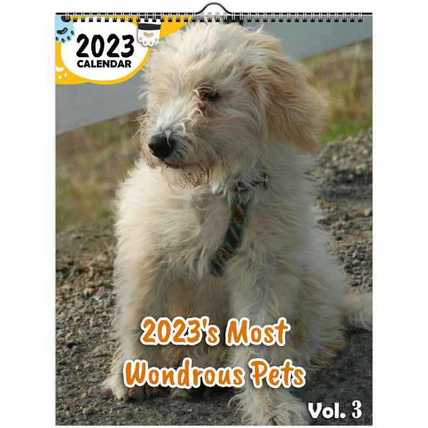 2023's Most Wondrous Pets Volume Three: 2023 Wall Calendar