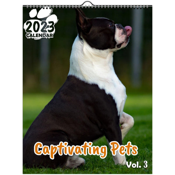 Captivating Pets Volume Three: 2023 Wall Calendar