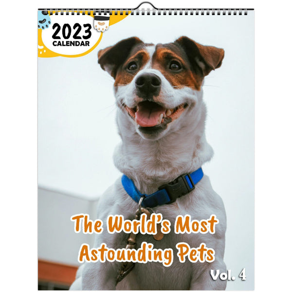 The World's Most Astounding Pets Volume Four: 2023 Wall Calendar
