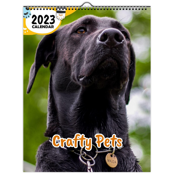 Crafty Pets: 2023 Wall Calendar
