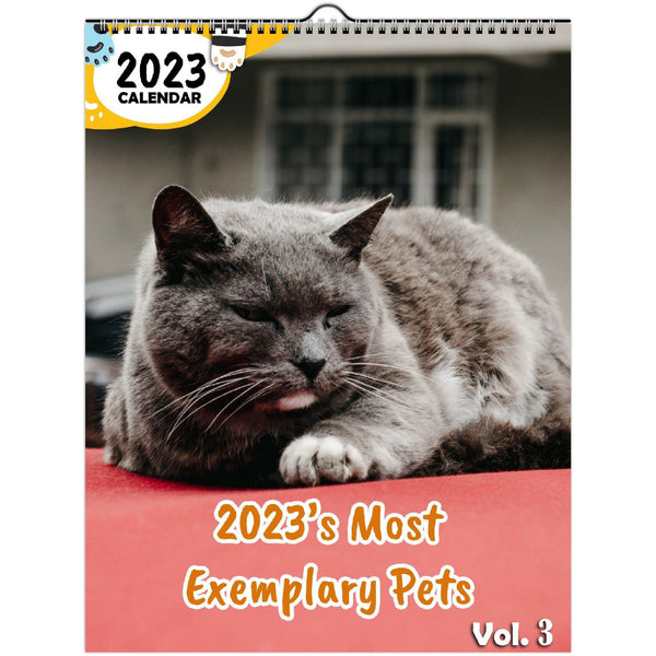 2023's Most Exemplary Pets Volume Three: 2023 Wall Calendar