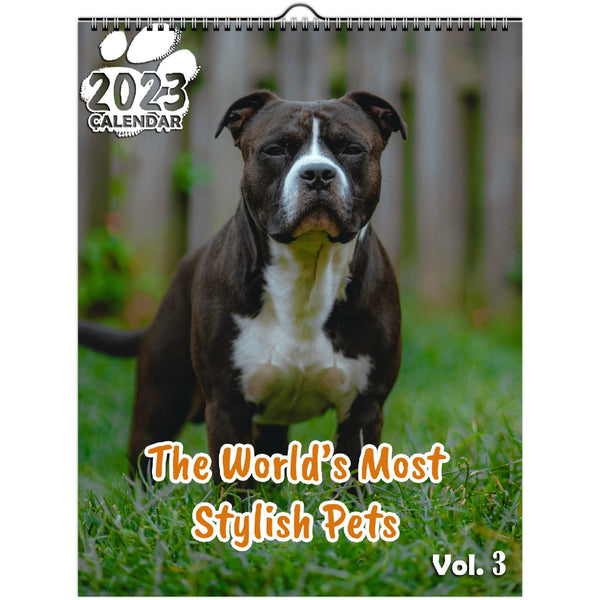 The World's Most Stylish Pets Volume Three: 2023 Wall Calendar