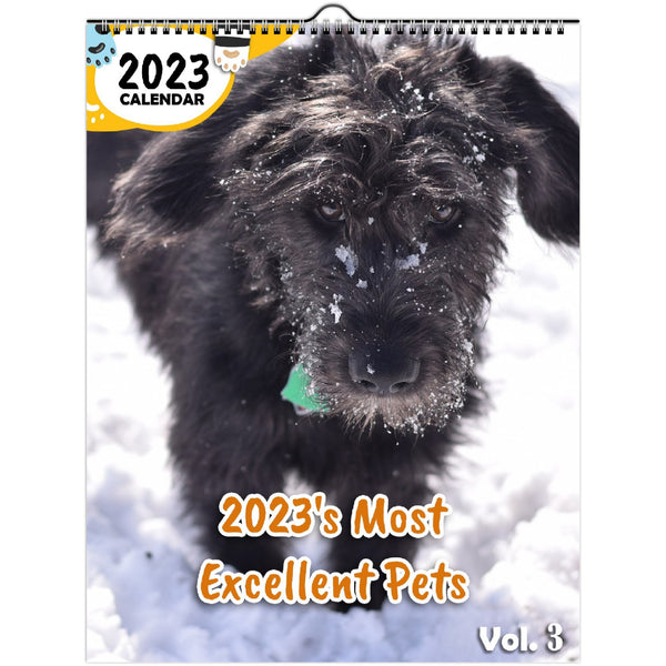 2023's Most Excellent Pets Volume Three: 2023 Wall Calendar