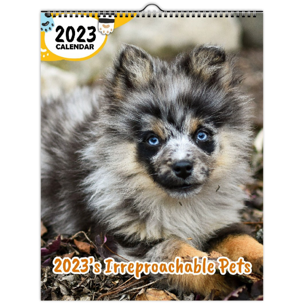 2023's Irreproachable Pets: 2023 Wall Calendar