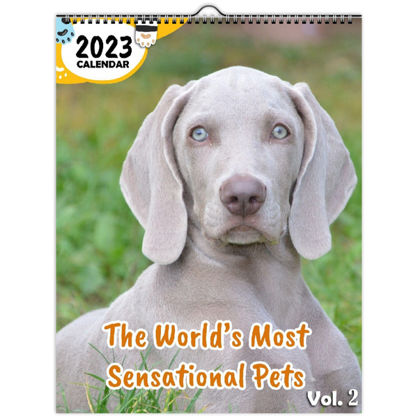 The World's Most Sensational Pets Volume Two: 2023 Wall Calendar
