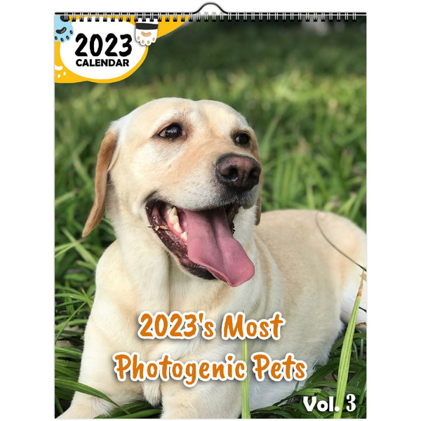2023's Most Photogenic Pets Volume Three: 2023 Wall Calendar