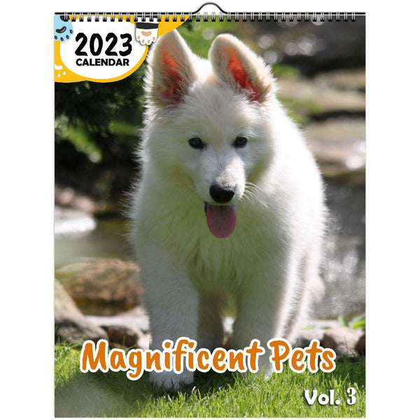 Magnificent Pets Volume Three: 2023 Wall Calendar