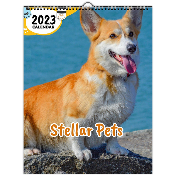 Stellar Pets: 2023 Wall Calendar