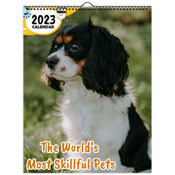 The World's Most Skillful Pets: 2023 Wall Calendar