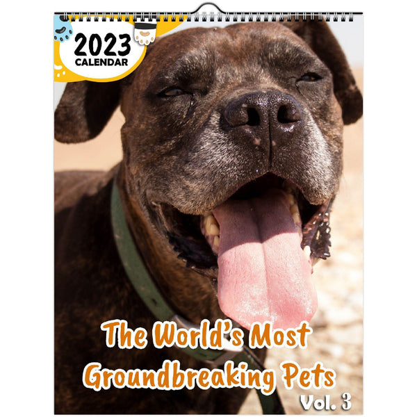 The World's Most Groundbreaking Pets Volume Three: 2023 Wall Calendar