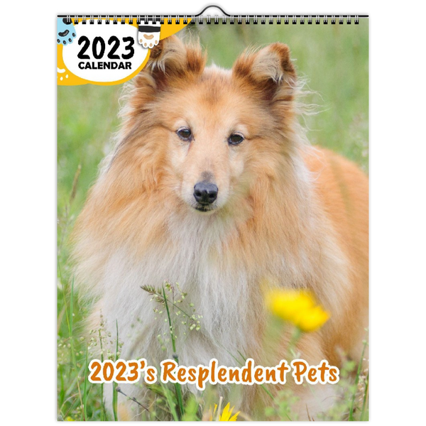 2023's Resplendent Pets: 2023 Wall Calendar