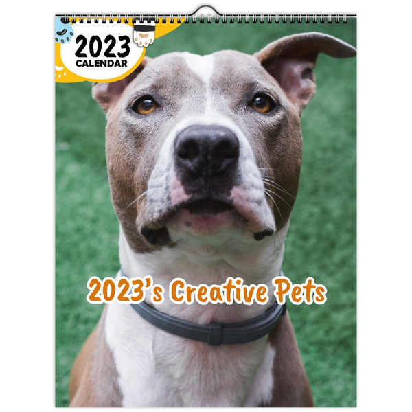 2023's Creative Pets: 2023 Wall Calendar