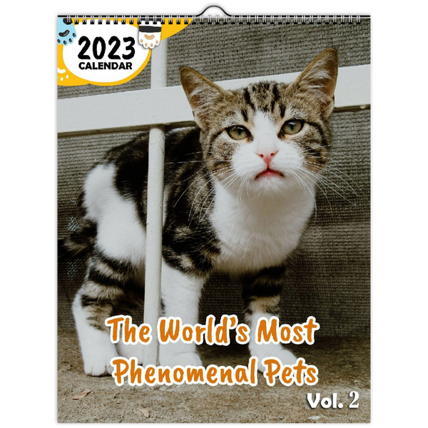 The World's Most Phenomenal Pets Volume Two: 2023 Wall Calendar