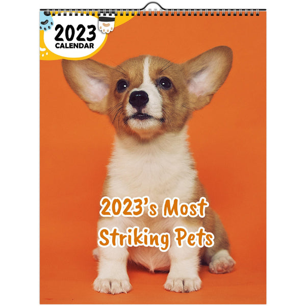 2023's Most Striking Pets: 2023 Wall Calendar