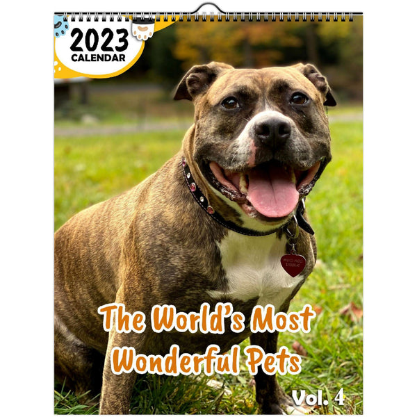 The World's Most Wonderful Pets Volume Four: 2023 Wall Calendar