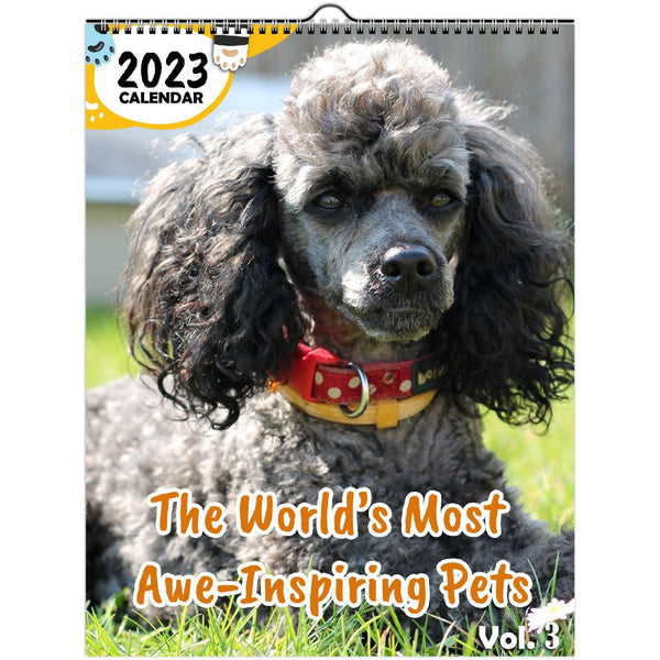 The World's Most Awe-Inspiring Pets Volume Three: 2023 Wall Calendar