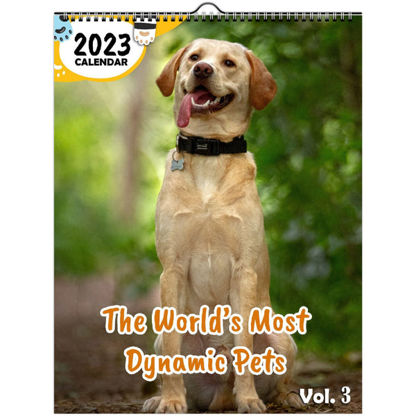 The World's Most Dynamic Pets Volume Three: 2023 Wall Calendar