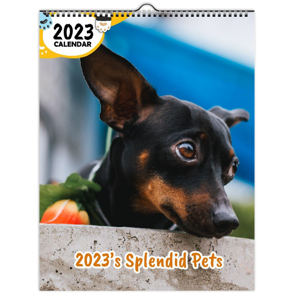 2023's Splendid Pets: 2023 Wall Calendar
